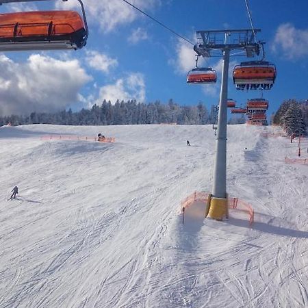 Willa Male Alpy 300 M Od Kompleksow Narciarskich Крыница-Здруй Экстерьер фото